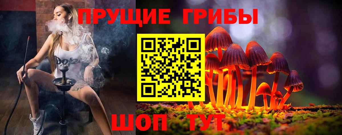 Новочебоксарск  купить наркоту  Вход с VPN  Галлюциногенные грибы Psilocybine cubensis 